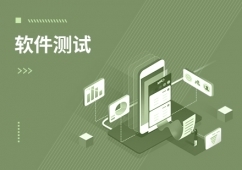 深圳 中國(guó)軟件開發(fā)的創(chuàng)新引擎與人才高地